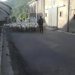 Maison Typique De Montagne Holiday home