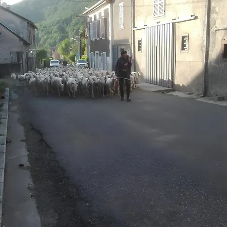 Maison Typique De Montagne * Ercé