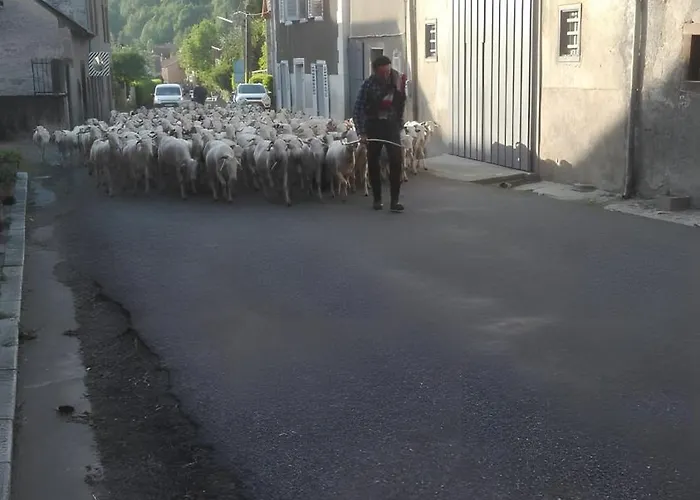 Maison Typique De Montagne Nyaraló
